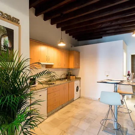 Ole - Mateos Gago Apartment