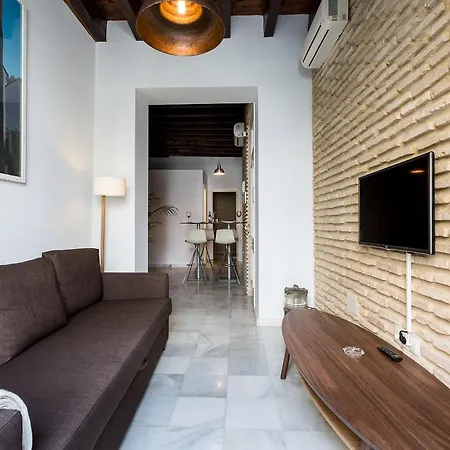 Apartment Ole - Mateos Gago